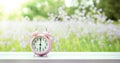 Clock on wood in the morning, blurred nature background. Royalty Free Stock Photo