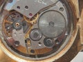 Clockwork. Gears, springs and other parts of the watch are visible.