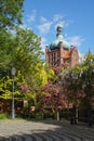 Clock tower in Plock (Poland)