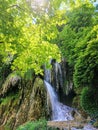 Clocota waterfall in Geoagiu in summer with green trees