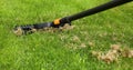 scarifying lawn with scarifier rake. dead grass removal