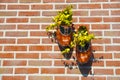 Clog shoes on a brick wall, the Netherlands