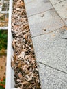 Clogged dried leaves, twig, debris on gutter eavestrough drain pipe near shingles roof of residential home in Dallas, Texas, USA, Royalty Free Stock Photo