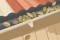 Clogged Gutter with Autumn Leaves, home maintenance problem concept Royalty Free Stock Photo