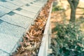 Clogged gutter at front yard near roof shingles of residential house full of dried leaves