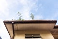 Clogged roof rain gutter full of dry leaf and plant growing in it against blue sky