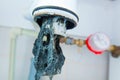 Clogged sink pipe. Unclog a drain from hairs and other stuff. Checking Hydraulic trap for draining water under the sink Royalty Free Stock Photo