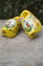 Clogs Royalty Free Stock Photo