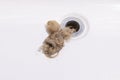 Clogs In Drain, Hair Loss, Hair Fall. Big Tuft Of Blond Hair In White Bathtub Of Bathroom