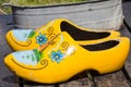 Clogs Royalty Free Stock Photo