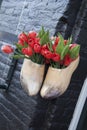 Clogs and Red Tulips, Amsterdam Royalty Free Stock Photo