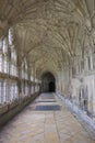 Cloister in Gloucester Cathedral