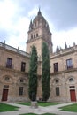 Cloister of the New Cathedral of Salamanca, Salamanca, Spain. Royalty Free Stock Photo