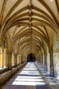 Cloisters lit by sunlight at Norwich Cathedral. Norfolk, England, UK