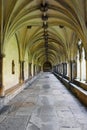 Cloisters, Norwich Cathedral, Norfolk, England, UK