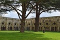 Cloisters, Salisbury Cathedral, Salisbury, Wiltshire, England