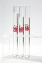 Cloning plants in test tubes Royalty Free Stock Photo