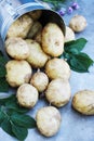 Cloo potato Royalty Free Stock Photo