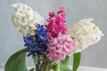 Clorful hyacinth flowers bunch close-up. Royalty Free Stock Photo