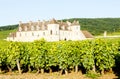 Clos Blanc De Vougeot Castle Royalty Free Stock Photo