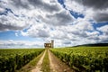 Burgundy, Chateau de La Tour and vineyards, Clos de Vougeot. France Royalty Free Stock Photo