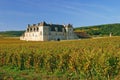 Clos de Vougeot,Burgundy