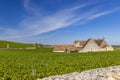 Clos de Vougeot castle, Cote de Nuits, Burgundy, France Royalty Free Stock Photo