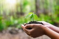 clos up hand holding small tree for planting. concept earth day Royalty Free Stock Photo