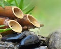 Bamboo fountain with water flowing on black stones on green background Royalty Free Stock Photo