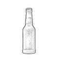 Close beer bottle. Vintage black vector engraving illustration.