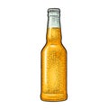 Close beer bottle. Vintage color vector engraving illustration.