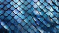 close blue dragon scales