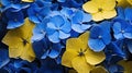 close blue and yellow flowers