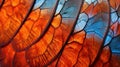 close butterfly texture