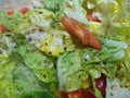 Close crunchy juicy seasoned salad