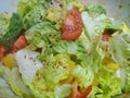 Close crunchy juicy seasoned salad