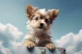 Close-Curious puppy close-up adorable gaze clear blue sky copy space Generative AI