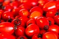 Close detail of fresh washed rose hips Royalty Free Stock Photo