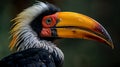 Close detail hornbill of the beak watching. AI Generative