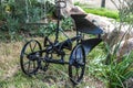 Close details of ancient old iron plow for black oxen