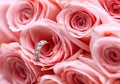 Close Diamond ring on pale pink roses Royalty Free Stock Photo