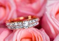 Close Diamond ring on pale pink roses Royalty Free Stock Photo