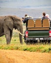 Close encounter with an African Elephant on Safari in Africa