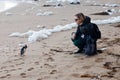 Close encounter with a penguin slammed by waves on the beach