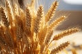 Close examination in 3D, showcasing a wheat bouquets intricate beauty