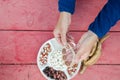 Close farmer hands shell husk colorful bean pods