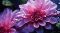 Close flower petals with dew