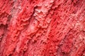 close focus on the rough texture of red coral stone