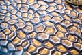 close focus on slow-moving tortoise skin