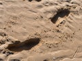 Close of Footprints in the sand. Footsteps on the shore Royalty Free Stock Photo